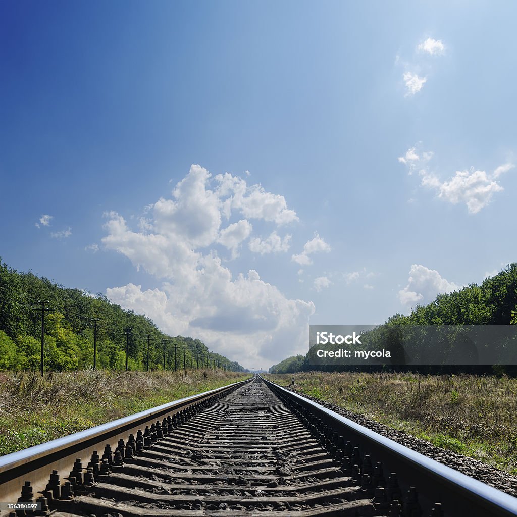 railroad al horizonte en un hermoso paisaje con vegetación - Foto de stock de Acero libre de derechos