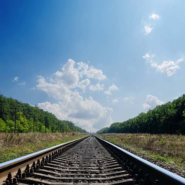 istock railroad to horizon in green landscape 156384597