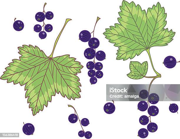 Black Currants Isolated Stock Illustration - Download Image Now - Agriculture, Creativity, Currant