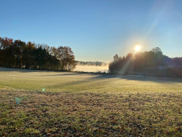 golf course - foursome imagens e fotografias de stock