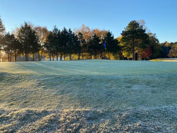 golf course - foursome imagens e fotografias de stock