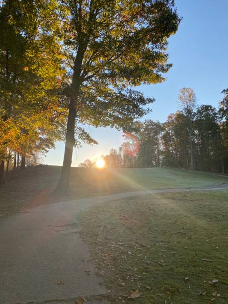 golf course - foursome imagens e fotografias de stock