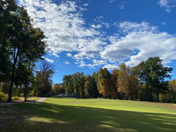 golf course - foursome imagens e fotografias de stock