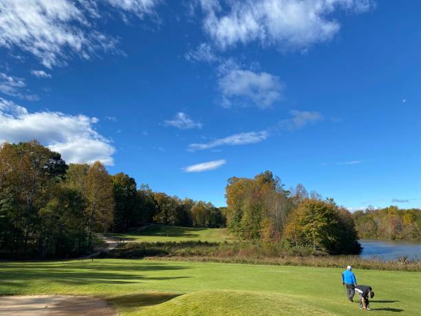 golf course - foursome imagens e fotografias de stock