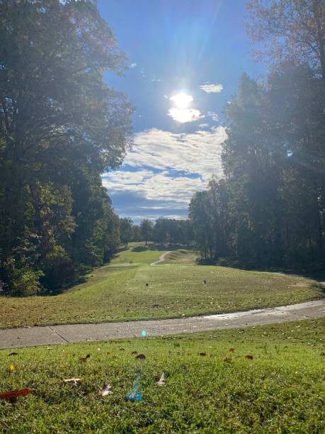 golf course - foursome imagens e fotografias de stock