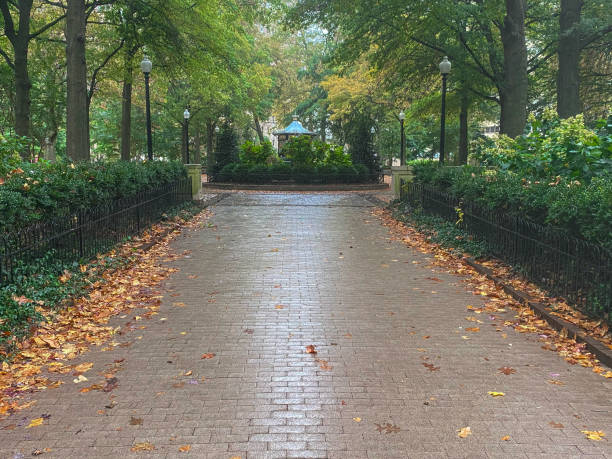 istock Autumn in Philadelphia 1563901751