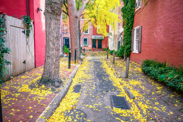 istock Autumn in Philadelphia 1563902261