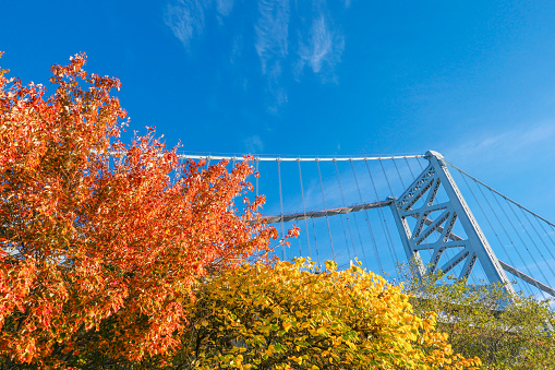 Autumn in center city Philadelphia. Ben Franklin bridge with bright autumn colored trees on the foreground.