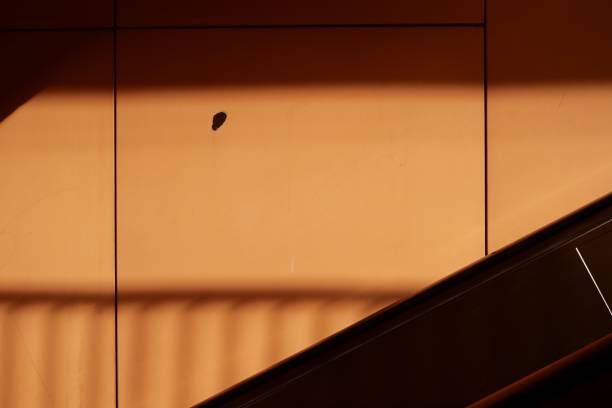 istock Side view of an escalator next to a vibrant orange wall 1563904809