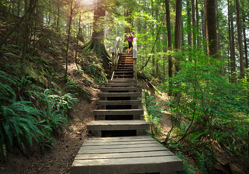 Person enjoying view or taking a break at the top of a steep wooden staircase. Summer hiking in rainforest. North Vancouver, Baden Powell Trail, BC, Canada. Selective focus.