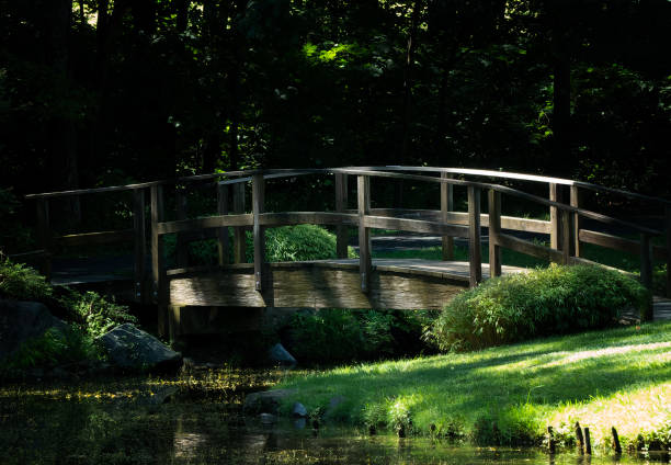 istock Wooden foot bridge in mottled sunlight 1563935496
