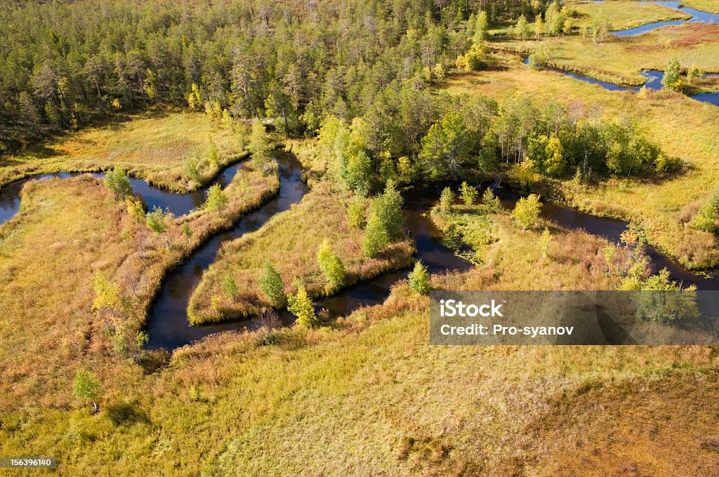 North etune rivière. - Photo de Arbre libre de droits