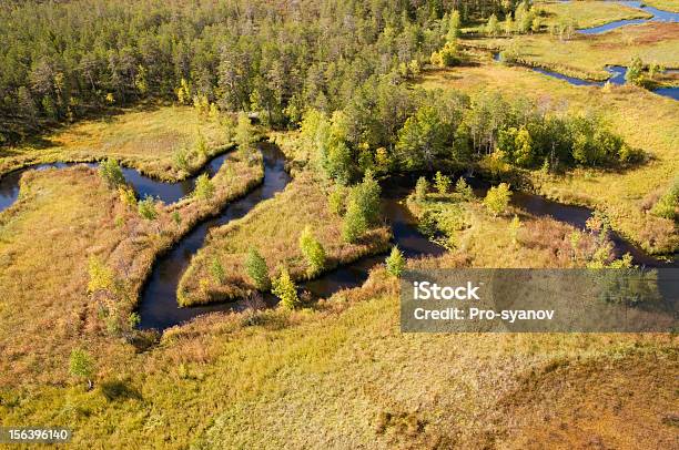 North Fiume Sinuoso - Fotografie stock e altre immagini di Acqua - Acqua, Acqua fluente, Acqua stagnante