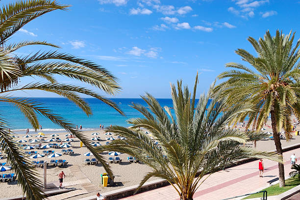 os turistas desfrutar de água limpa na praia, tenerife, espanha - playa de las américas imagens e fotografias de stock