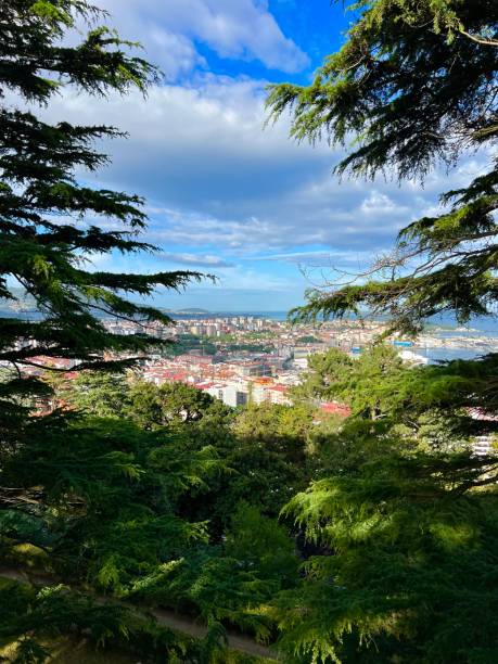 istock Parque Monte del Castro, Vigo, Spain 1563967120