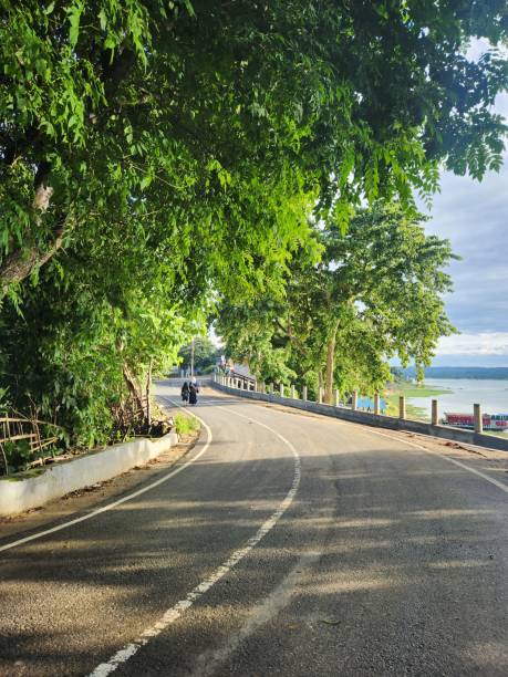 istock Beautiful curve road in through trees. 1563972440