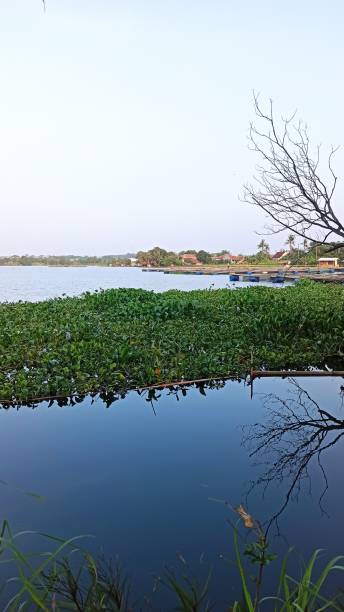 istock A lake in karawang 1563988216