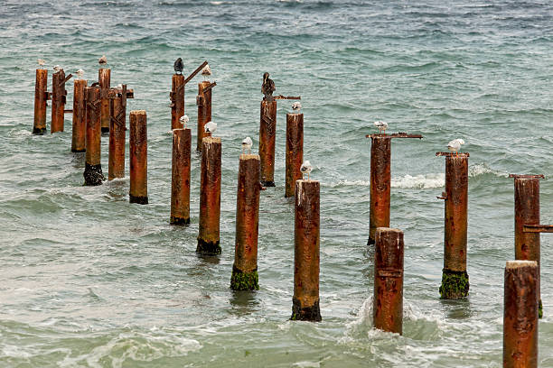 pier en el agua - foto de stock