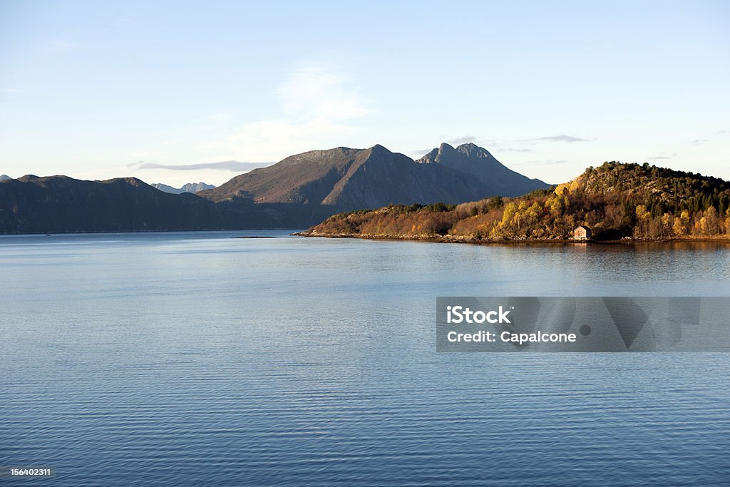 Norvegia tranquillo mare e terra - Foto stock royalty-free di Albero