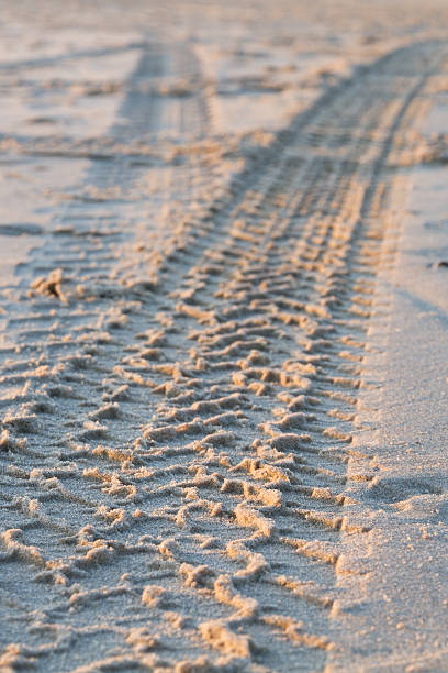 istock Tyre tracks in sand at the beach 156402670