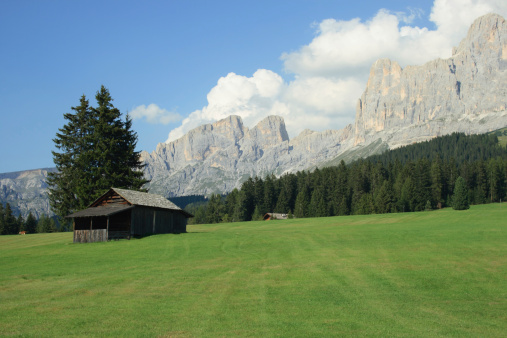 Alpine Landscape. Catinaccio (Rosengarten)