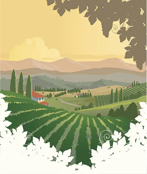 Vector illustration of Vineyards Panorama