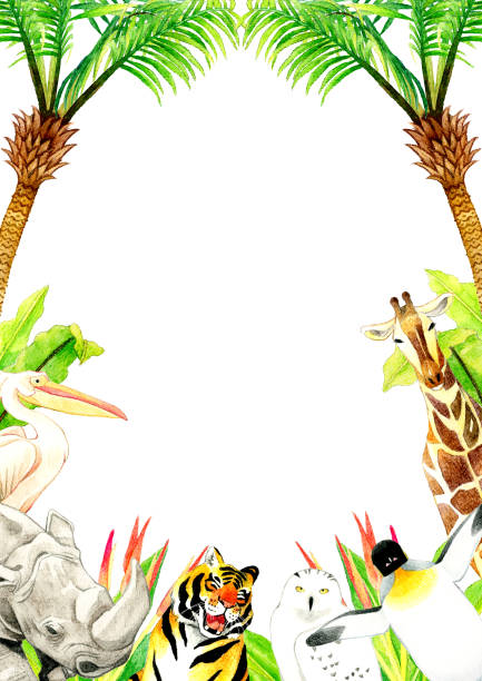 ilustrações de stock, clip art, desenhos animados e ícones de zoo animals background clipart. hand painted with watercolors. - penguin animal white background king penguin