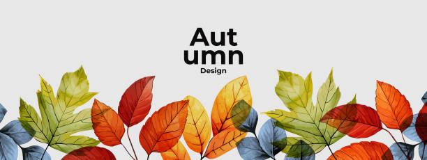 가을의 초록색, 황금색, 빨간색, 주황색 잎이 배경에 격리되어 있는 긴 수평 테두리가 있는 가을 계절 배경. 안녕하세요 가을 벡터 일러스트레이션 - 떨어짐 stock illustrations