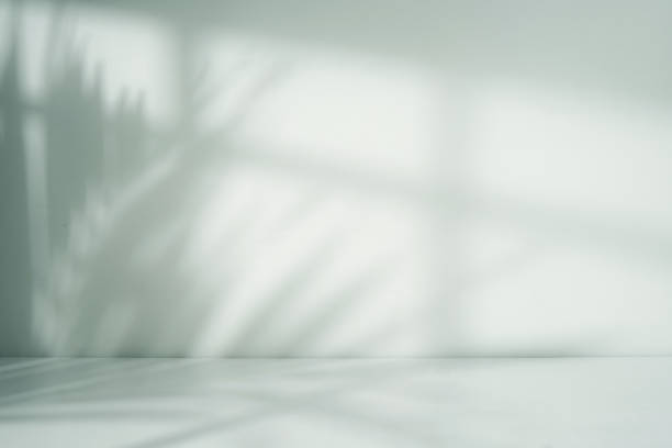 istock Minimalist empty room with blurry window and palm leaf shadow 1564129020