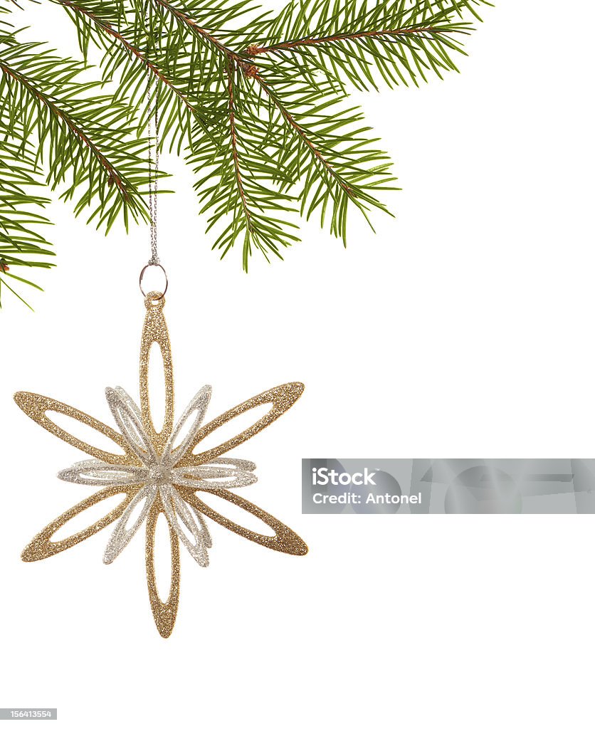 Dourado de Natal Floco de Neve - Royalty-free Abeto Foto de stock