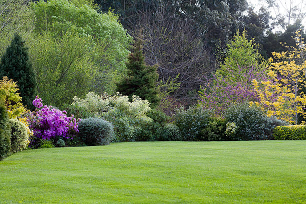 A beautiful maintained garden with trees View of a beautiful garden in spring good condition stock pictures, royalty-free photos & images