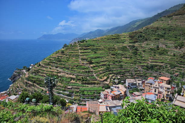 istock Scenic view of Italian coast 1564161548