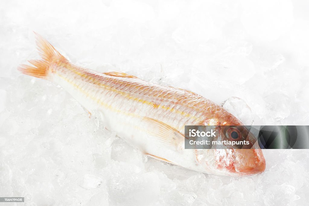 Raw mullet - Royalty-free Animal Foto de stock