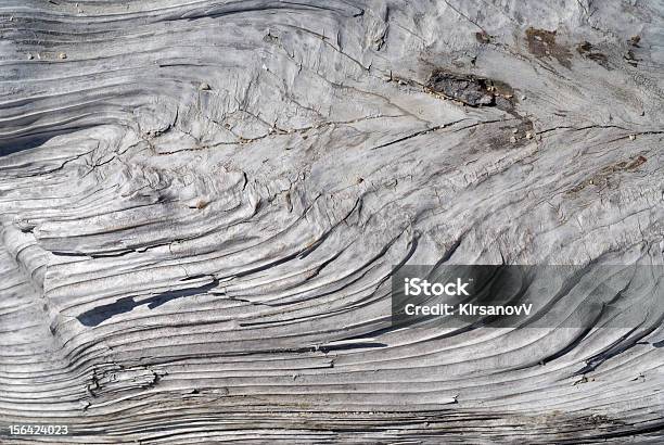 Textura De Árvore Seca - Fotografias de stock e mais imagens de Antigo - Antigo, Cepo, Cinzento