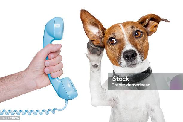 Dog On The Phone Stock Photo - Download Image Now - Dog, Telephone, Microphone
