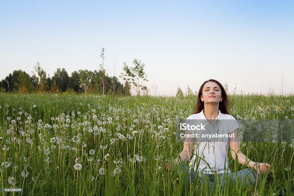 meditation young woman sitting in the field of dandelions Dandelion Stock Photo