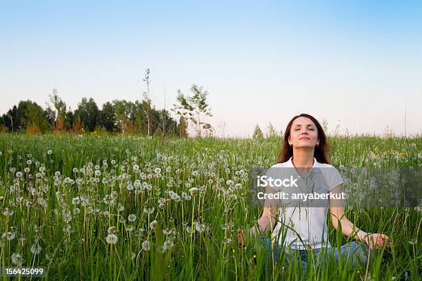 Meditation Stock Photo - Download Image Now - Dandelion, Yoga, Adult