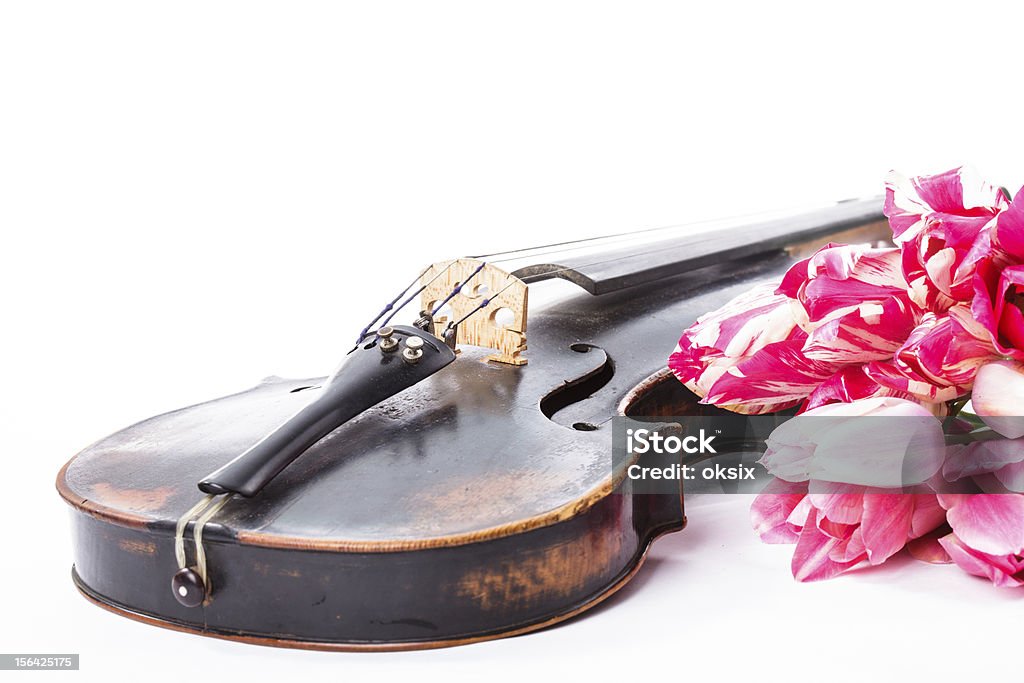 Preto velho violino - Foto de stock de Branco royalty-free