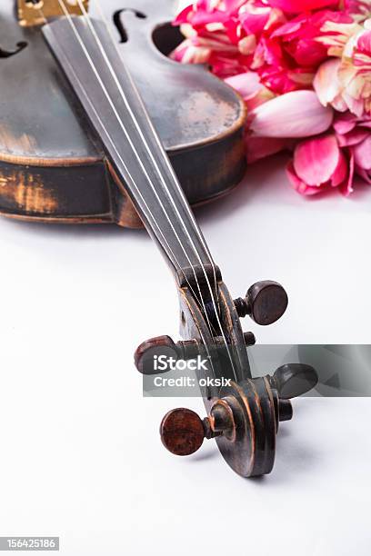 Black Old Violin Stock Photo - Download Image Now - Close-up, Creativity, Flower