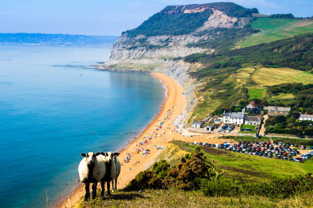 istock Seatown Golden Cap Dorset 1564257471
