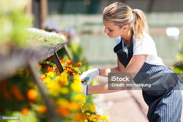 Photo libre de droit de Fleuriste Femme Travaillant Dans La Pépinière banque d'images et plus d'images libres de droit de Adulte - Adulte, Affaires, Agriculteur