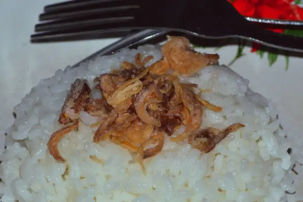 Aesthetic Close-up Of White Rice Dish Sprinkled With Crispy Fried Onions On A Plate