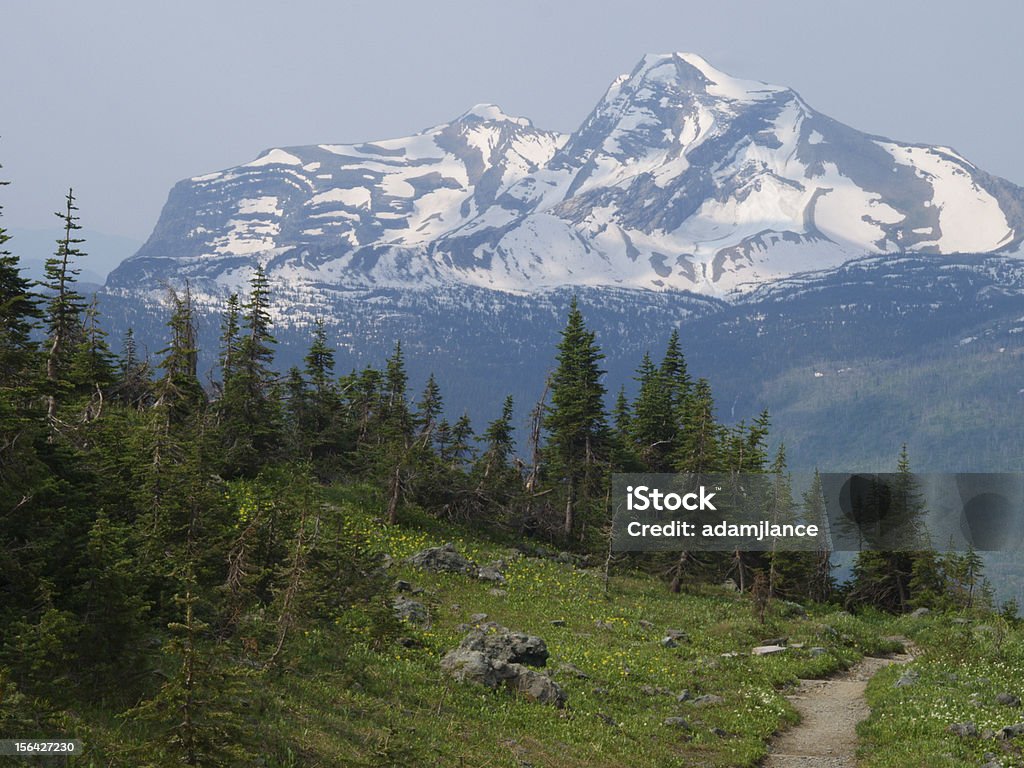 Sentiero Culto heaven's peak - Foto stock royalty-free di Albero