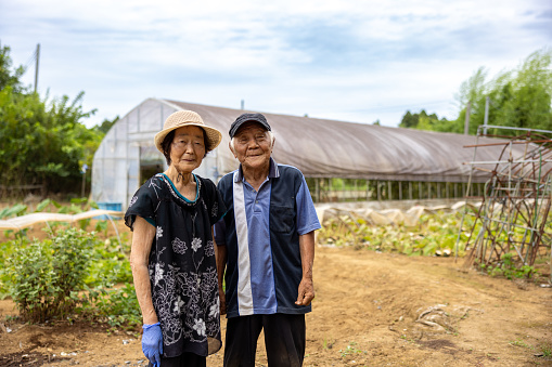 Portrait of senior couple in farm