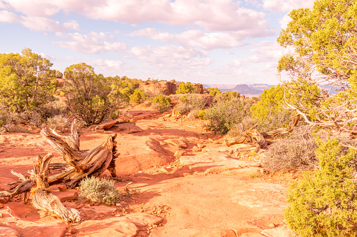 Grand View Point, Canyonlands National Park, Utah, United States