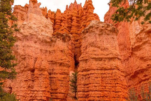 Trekking the Fairyland loop trail in Bryce Canyon National Park at sunrise with some clouds and rain