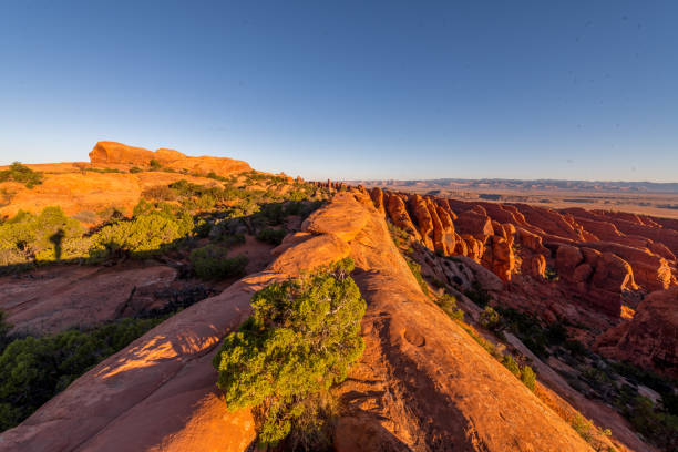 istock Devil's Garden, Arches National Park, Utah, United States 1564289298