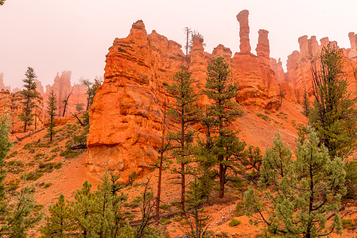 Trekking the Fairyland loop trail in Bryce Canyon National Park at sunrise with some clouds and rain