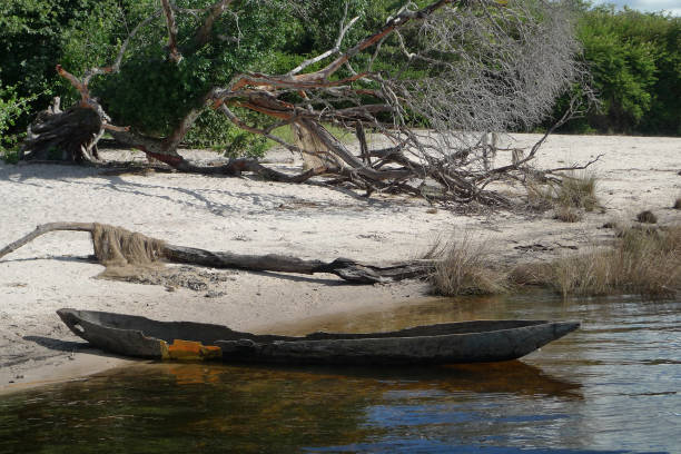 istock An old and somewhat broken dug-out wooden canoe also called a mokorro beached on the side of the Zambezi River 1564295088