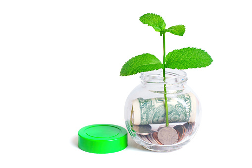 Plant Grows from a jar full of us dollar bills and coins isolated on white background. Savings and investments in education or retirement.